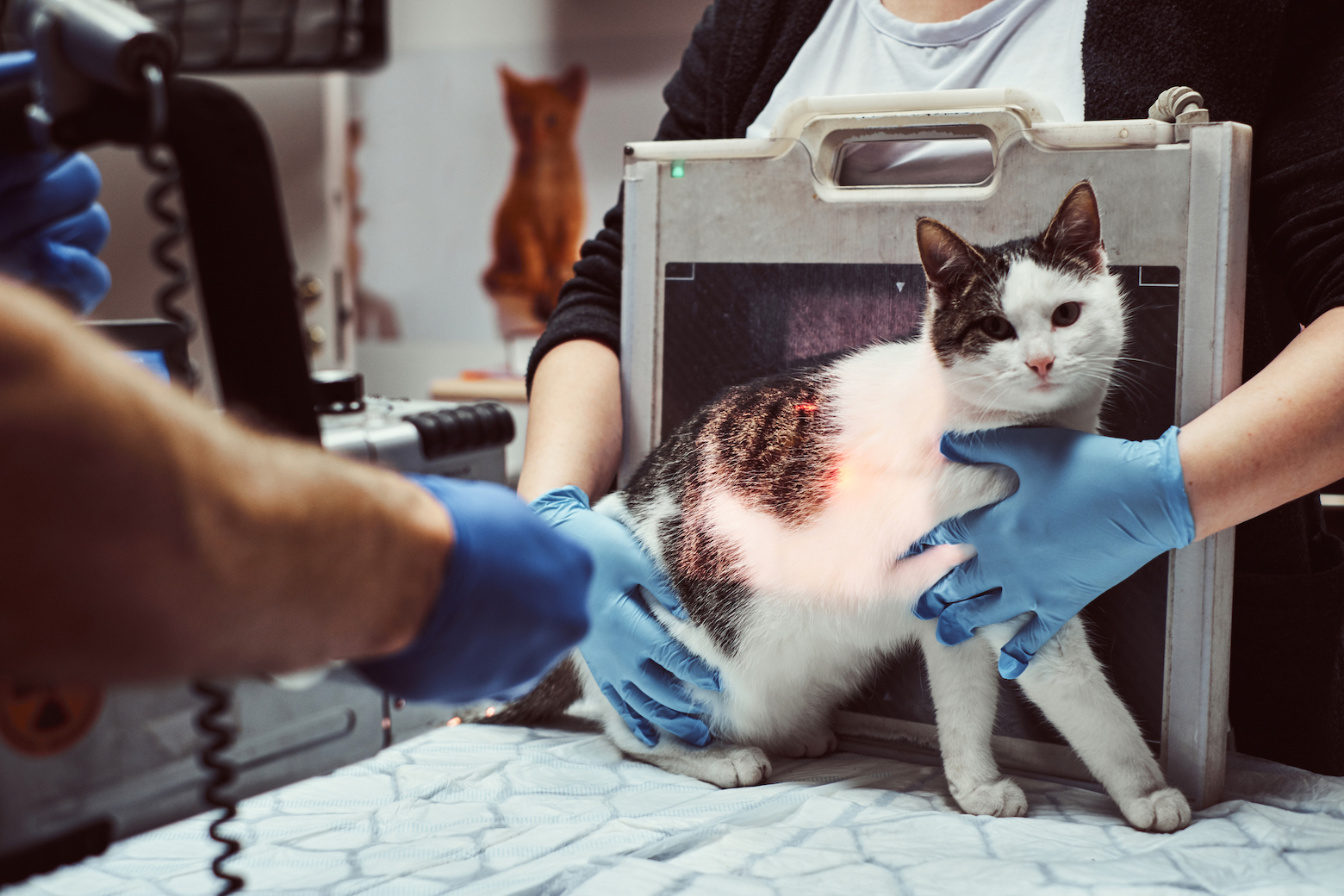 X-ray
